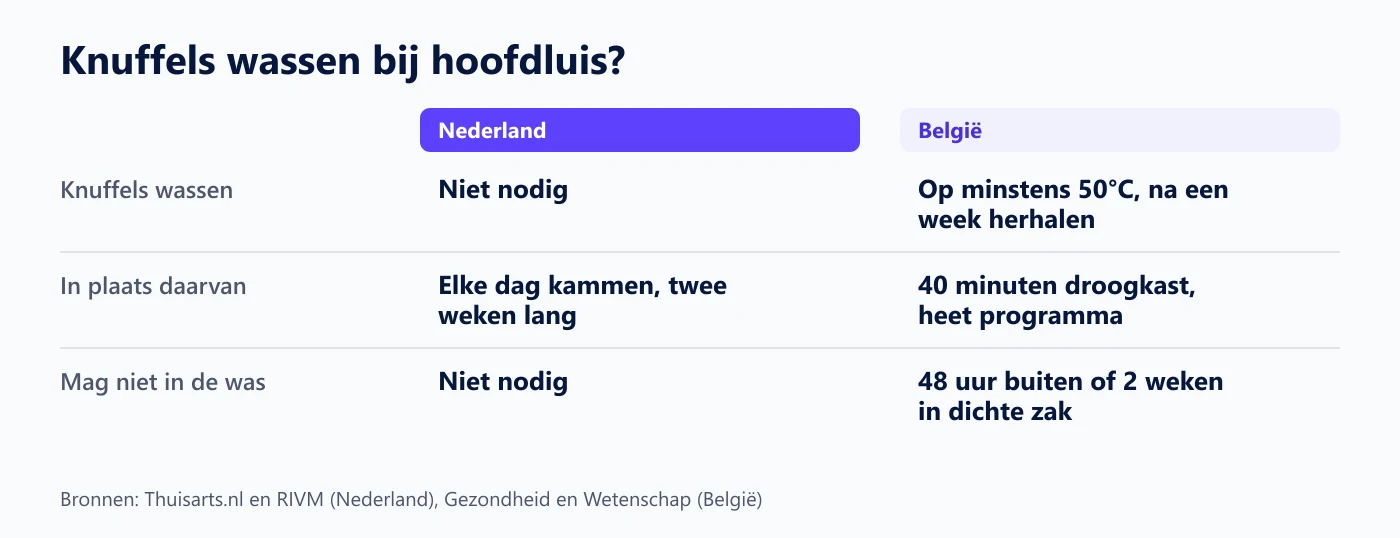 Vergelijking van het advies over knuffels bij hoofdluis in Nederland en België
